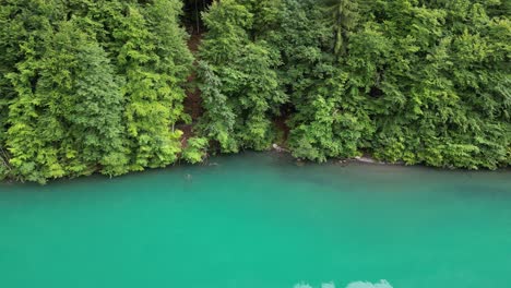 Forest-adorned-shore-of-turquoise-Klontalersee-lake,Switzerland