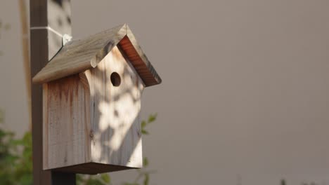 Close-Up-Of-Wooden-Birdhouse-Outdoors