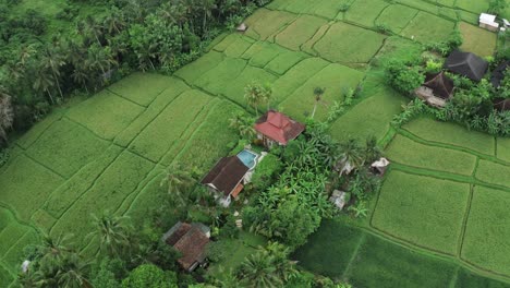 Aerial-top-view-showing-private-villa-with-pool-in-nature-of-Bali,-Indonesia---Orbiting-drone-shot