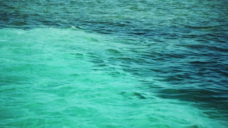 Serenas-Aguas-Acuáticas-Con-Línea-De-Mosca,-Retiro-De-Pesca-En-Bahamas