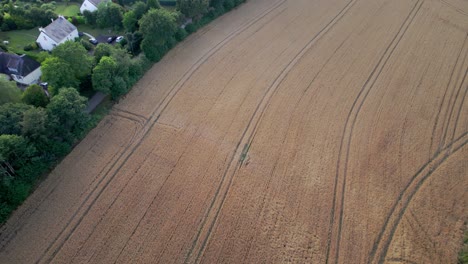 Blick-Von-Oben-Auf-Die-Ländliche-Landschaft-Der-Bretagne-Und-Bewirtschaftete-Weizenfelder-In-Frankreich