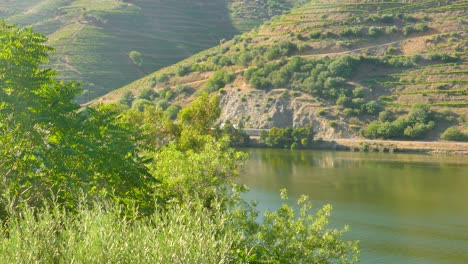 Train-Passing-By-Douro-River-And-Mountain-In-Summer-In-Portugal