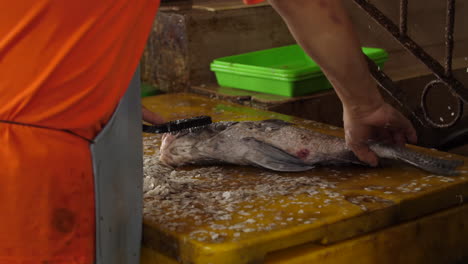 Scaling-a-Fish-at-Open-Air-Wet-Market