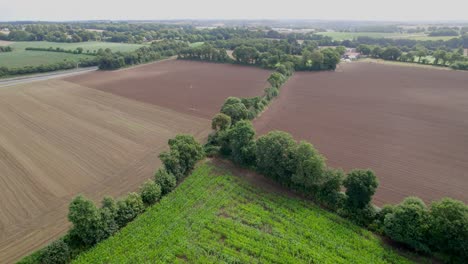Flug-über-Die-Ländliche-Landschaft-Der-Bretagne-Und-Bewirtschaftete-Weizenfelder-In-Frankreich