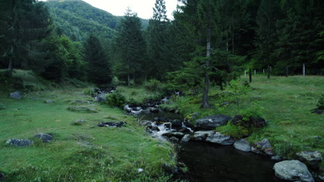 Aerial-view-of-the-mountain-stream-passing-through-a-fir-forest-and-a-meadow-with-rocks-and-green-grass