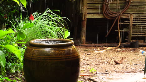 Peaceful-rainy-day,-pot-filled-with-water-near-plants-in-garden