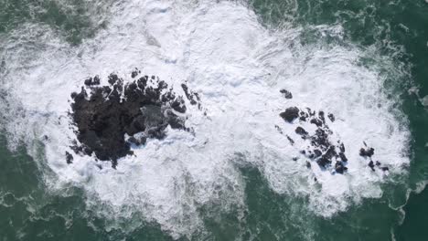 Static-overhead-drone-shot-of-Big-ocean-waves-crashing-on-coral-rock---Top-down-view