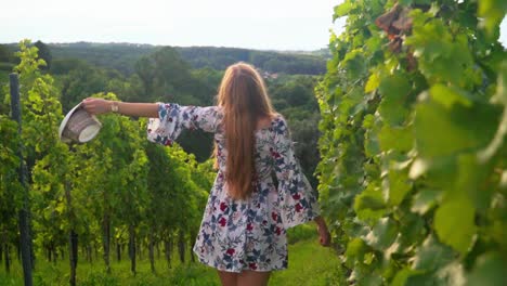 Stunning-HD-footage-of-a-white-Caucasian-woman-with-a-knitted-hat,-dress-standing-in-a-vineyard,-observing-her-surroundings,-then-playfully-taking-her-hat-off