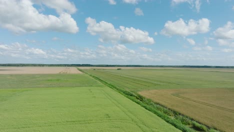 Aerial-establishing-view-of-a-tractor-mowing-a-fresh-green-grass-field,-a-farmer-in-a-modern-tractor-preparing-food-for-farm-animals,-sunny-summer-day,-wide-drone-shot-moving-forward