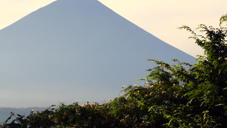 Inmitten-Zartrosa-Blüten-Erhebt-Sich-Die-Ikonische-Silhouette-Des-Fuji,-Umrahmt-Von-Einer-Atemberaubenden-Harmonie-Der-Schönheit-Und-Erhabenheit-Der-Natur