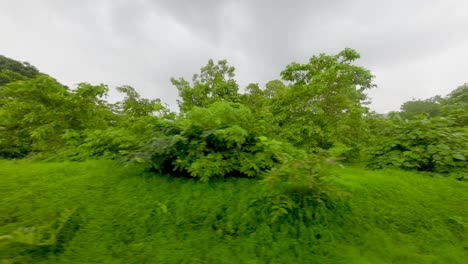 black-clouds-and-greenery-forest-view-from-train-window-in-Konkan-railway