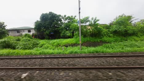 greenery-hyper-laps-view-from-train-window