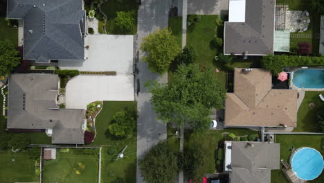 Drone-top-down-pan-along-empty-suburban-road-lined-with-lush-green-trees