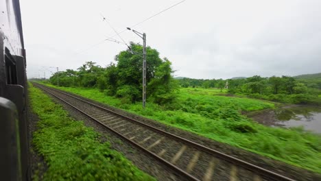 greenery-view-from-train-window