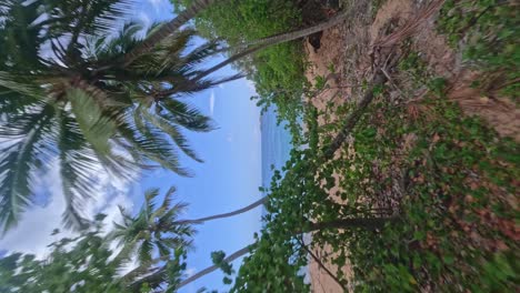 Aerial-drone-fpv-pov-through-palm-trees-toward-Playa-Onda-beach-in-Dominican-Republic