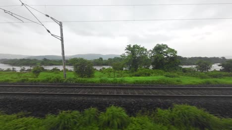 greenery-view-from-train-window