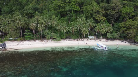 Aerial-pullback-pan-across-tropical-palm-tree-forest-beach-of-pasandigan-cove