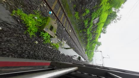 greenery-portrait-view-from-train-window
