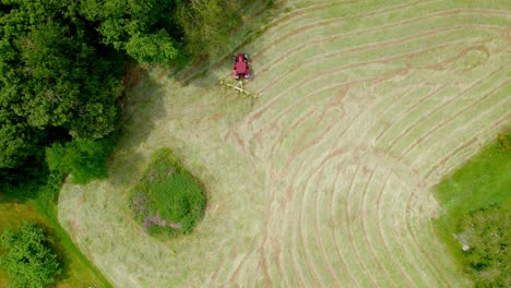 Top-view-over-red-lawnmower-cutting-grass