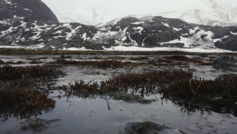 Raindrops-Falling-on-Wetland-and-Flooded-Grass-in-Landscape-of-Iceland