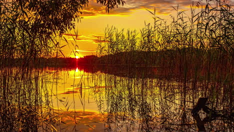 Getrocknetes-Schilfgras-Im-See-Mit-Spiegelungen-Des-Orangefarbenen-Himmels-Im-Wasser-Bei-Sonnenuntergang