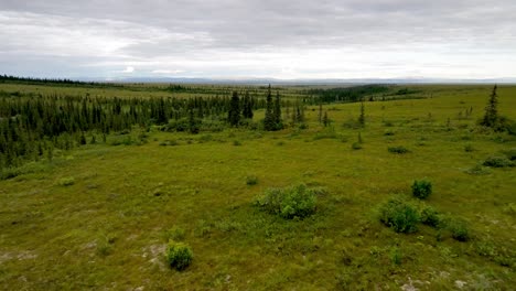 Alaska-Wilderness-near-Koyuk-Alaska