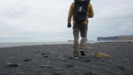 the-famous-black-beach-of-iceland