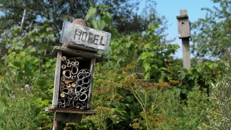 Insect-hotel-for-bugs-in-garden-meadow,-ecosystem-diversity