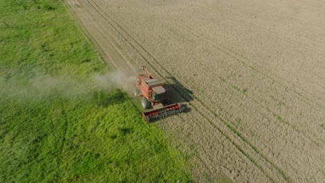 Aerial-establishing-view-of-combine-harvester-mowing-yellow-wheat,-dust-clouds-rise-behind-the-machine,-food-industry,-yellow-reap-grain-crops,-sunny-summer-day,-orbiting-birdseye-drone-shot