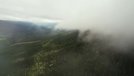Eine-Nebelschicht-Liegt-über-Der-Bewaldeten-Norwegischen-Landschaft