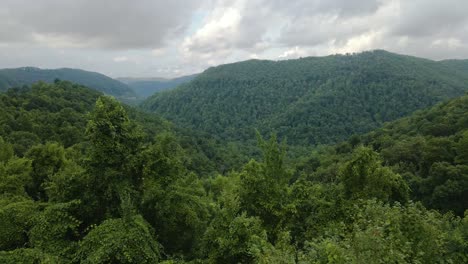 West-Virginia-Mountains-in-Appalachian-Mountain-Range-Tracking-Forward-Over-Trees-Revealing-Valley