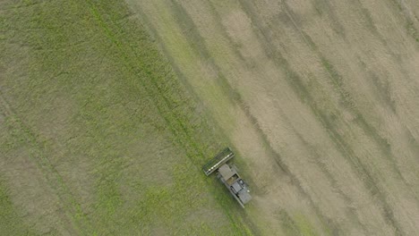 Aerial-establishing-view-of-combine-harvester-mowing-yellow-wheat,-dust-clouds-rise-behind-the-machine,-food-industry,-yellow-reap-grain-crops,-sunny-summer-day,-ascending-birdseye-drone-orbit-shot