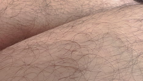 Nahaufnahme-Der-Körperbehaarung-Am-Männlichen-Bein