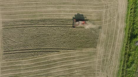 Aerial-establishing-view-of-combine-harvester-mowing-yellow-wheat,-dust-clouds-rise-behind-the-machine,-food-industry,-yellow-reap-grain-crops,-sunny-summer-day,-birdseye-drone-dolly-shot-moving-left