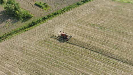 Aerial-establishing-view-of-combine-harvester-mowing-yellow-wheat,-dust-clouds-rise-behind-the-machine,-food-industry,-yellow-reap-grain-crops,-sunny-summer-day,-orbiting-birdseye-drone-shot