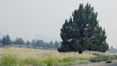 Humo-De-Incendios-Forestales-En-El-Centro-De-Oregon