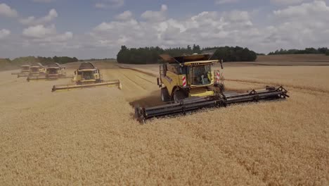 Circular-aerial-movement-around-a-team-of-combine-harvesters-collecting-golden-wheat-during-harvest-season