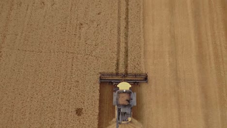 Aerial-view-revealing-a-vast-wheat-field-during-harvest-season-as-a-combine-harvester-collects-golden-wheat