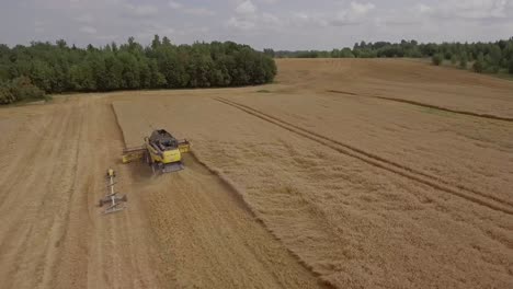 Aerial-view-of-a-combine-harvester-collecting-wheat-on-a-golden-field