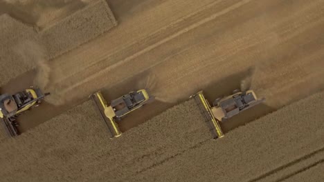 Top-down-spiralling-view-of-a-group-combine-harvesters-collecting-wheat-during-harvest-season-on-a-dusty-field