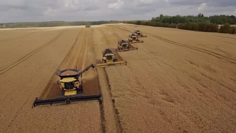 Beautiful-cinematic-aerial-view-of-a-row-of-combine-harvesters-working-in-unison-and-collecting-golden-wheat-during-harvest-season
