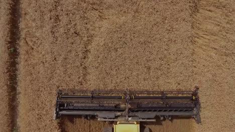 Top-down-view-of-a-combine-harvester-cutting-beautiful-golden-wheat-during-harvest-season