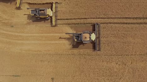 Spiralling-and-ascending-drone-view-of-a-combine-harvester-harvesting-golden-wheat-during-peak-season