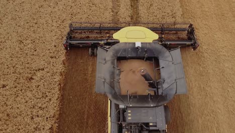 Bird's-eye-view-of-a-combine-harvester-gathering-ripe-wheat