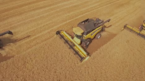 Drone-flying-over-combine-harvesters-collecting-golden-wheat-during-harvest-season