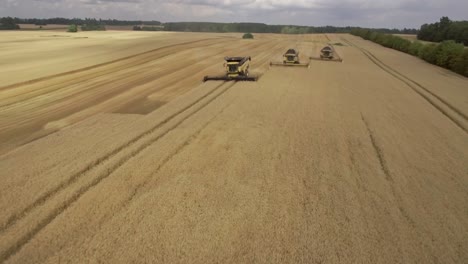 Aerial-shot-of-three-combine-harvesters-collecting-wheat-during-harvest-season