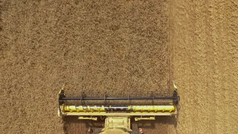 Top-down-view-of-a-combine-harvester-collecting-golden-wheat