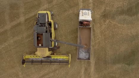 Top-down-drone-view-of-a-combine-harvester-unloading-wheat-onto-a-truck-trailer