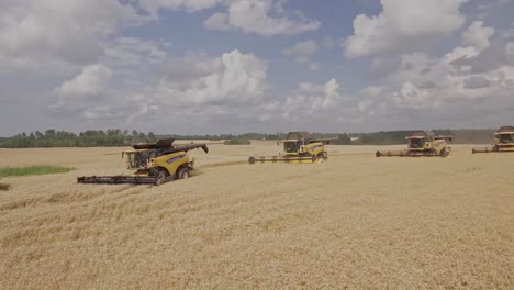 Cinematic-shot-of-a-group-of-combine-harvesters-working-in-unison-collecting-golden-wheat
