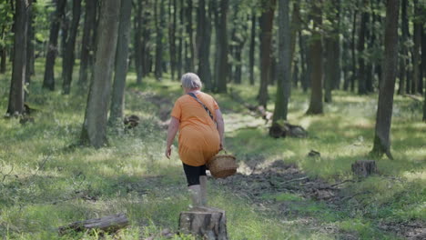 Dicke-ältere-Frau-Mit-Orangefarbenem-T-Shirt,-Die-Mit-Einem-Holzkorb-Durch-Den-Grünen-Wald-Geht-Und-Nach-Pilzen-Sucht,-Die-Von-Bäumen-In-Der-Natur-Umgeben-Sind